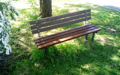 Demontáž původních a montáž nových sedacích ploch laviček, včetně zajištění výroby a provedení nátěrů.