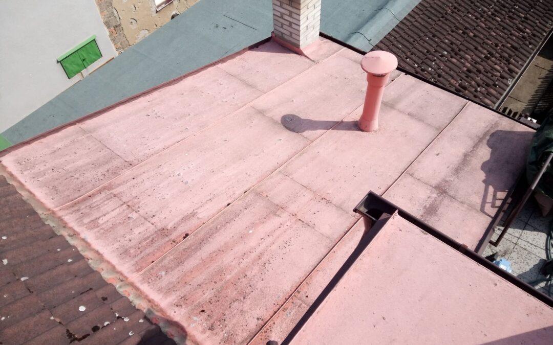 Tlakové čištění, ruční čištění, odmaštění, nátěry základovou barvou a nástřik dvou vrchních vrstev krycí barvou pomocí airless systému na falcované plechové střeše RD